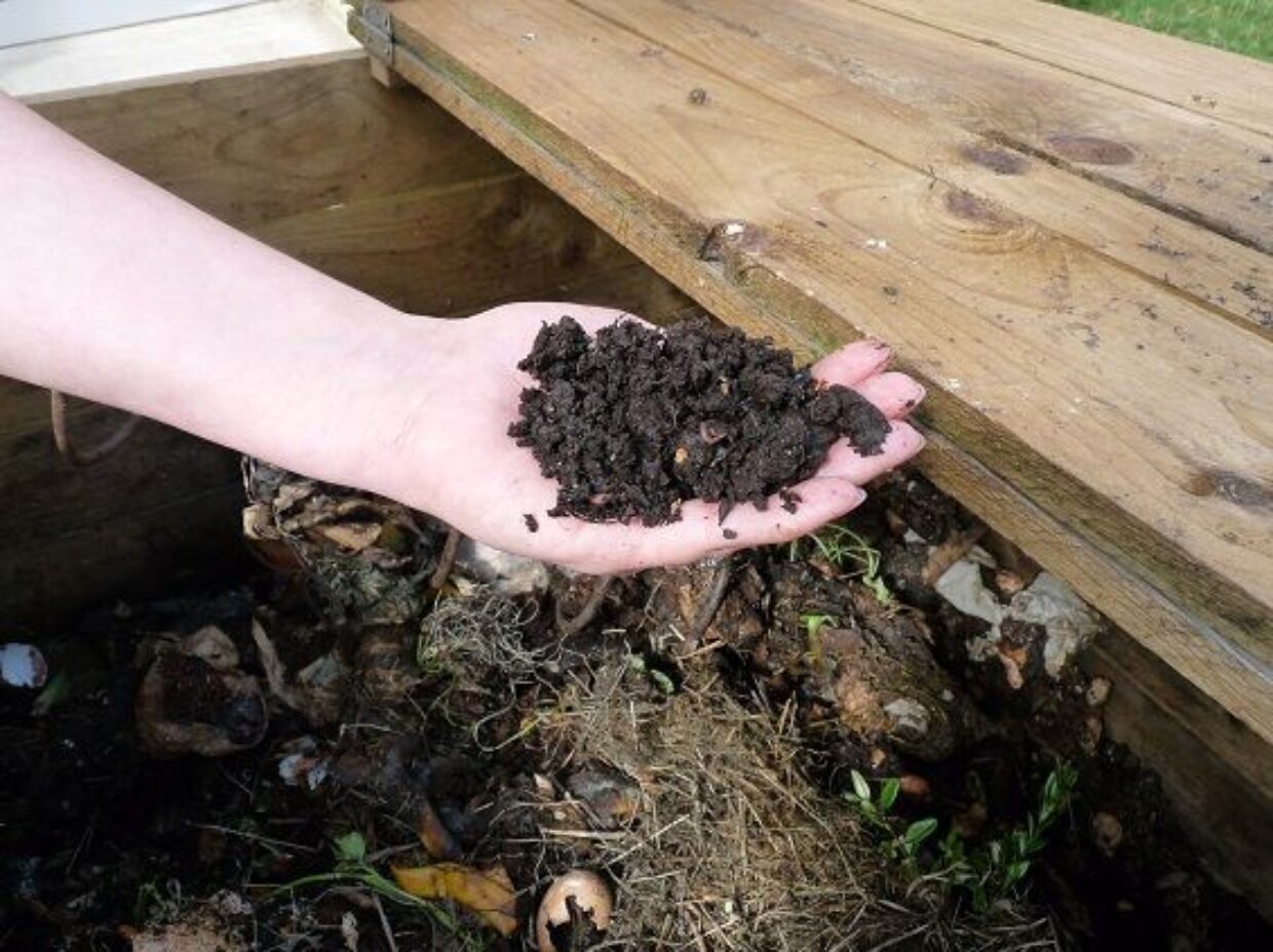 main remplie de compost devant un composteur rempli en arrière plan